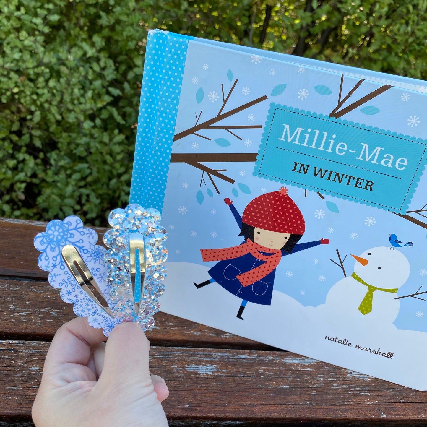 Winter Snap Clip Set