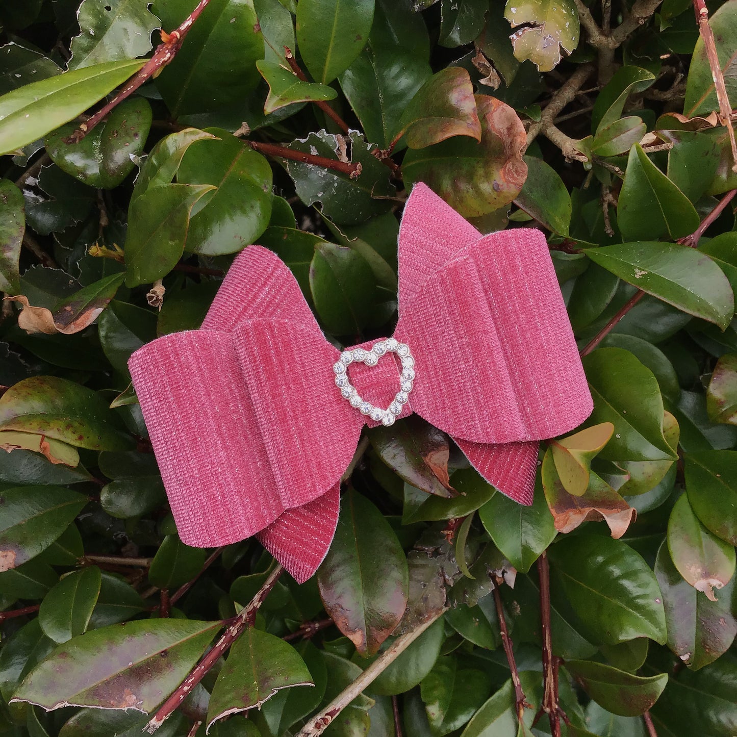 Luxe Velvet Franchi Bow