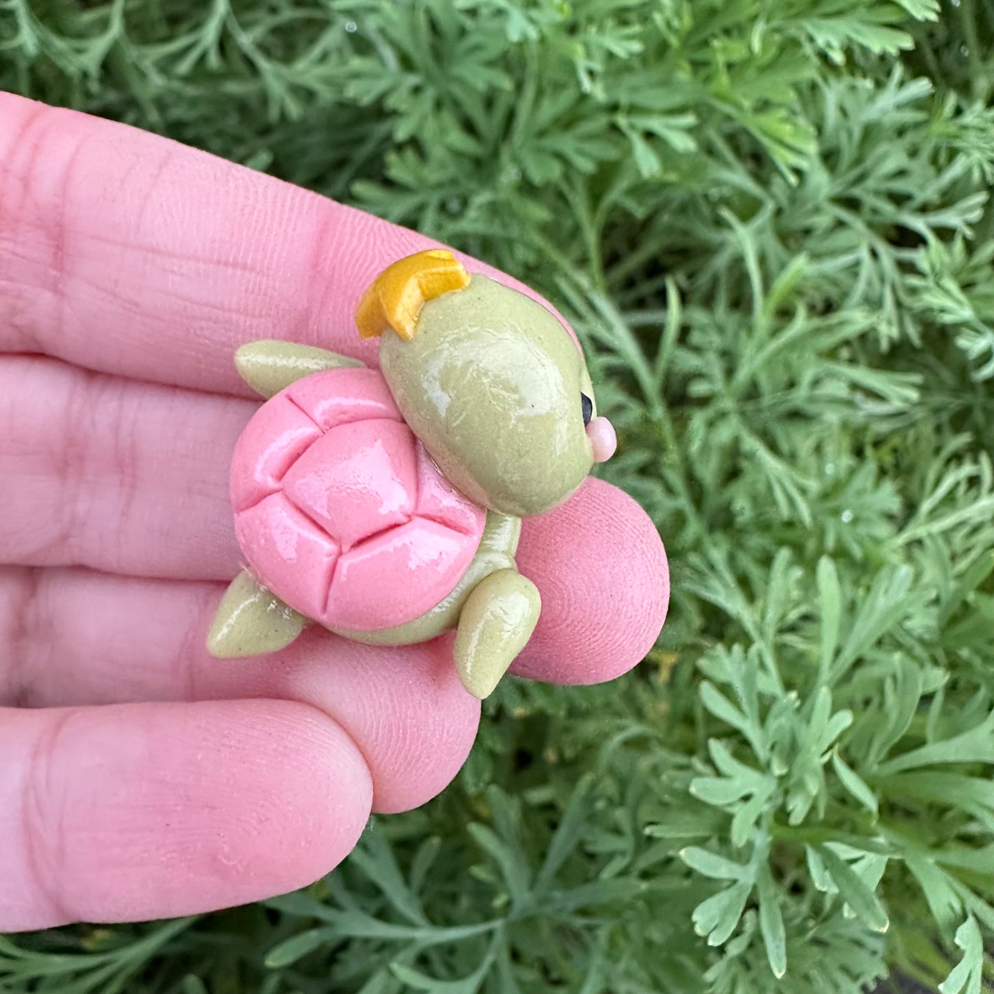 Custom Turtle Clay Bow
