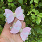 Mini Kiarah Piggy Clips