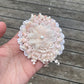 Vintage Lace Flower